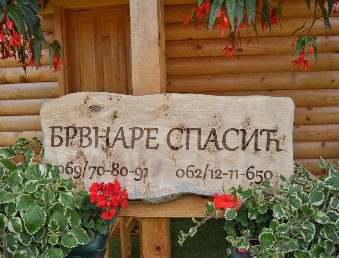 Brvnare Spasic Vinci Esterno foto
