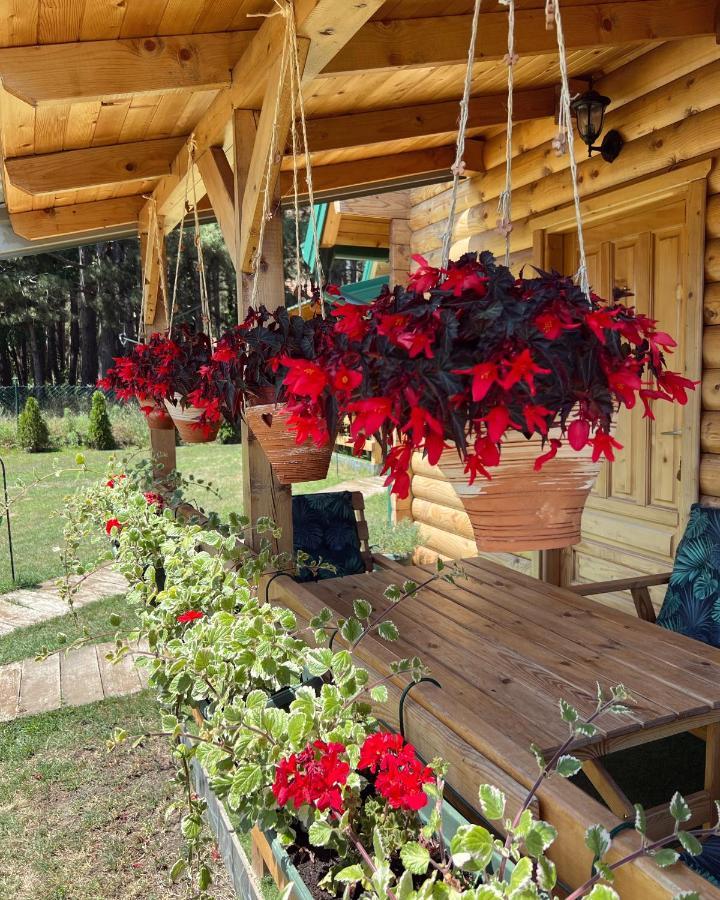 Brvnare Spasic Vinci Esterno foto